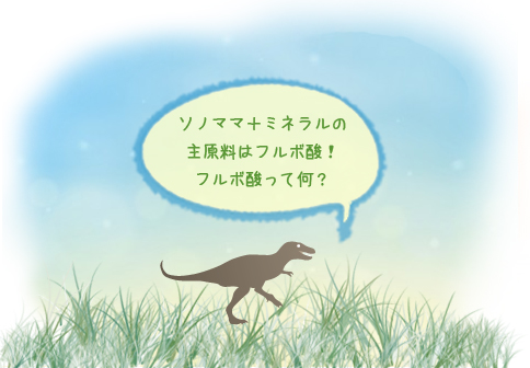フルボ酸って何?