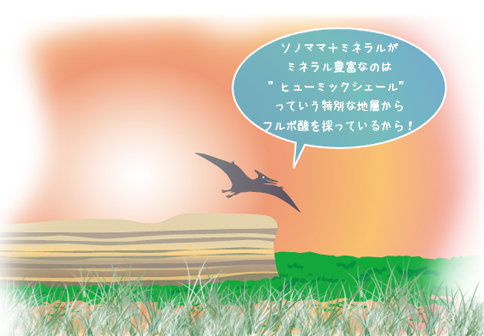 ヒューミクルシェール