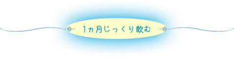 1ヵ月じっくり飲む